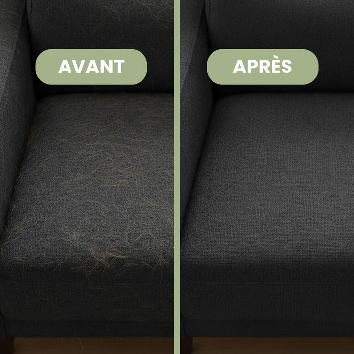 Avant après nettoyage canapé